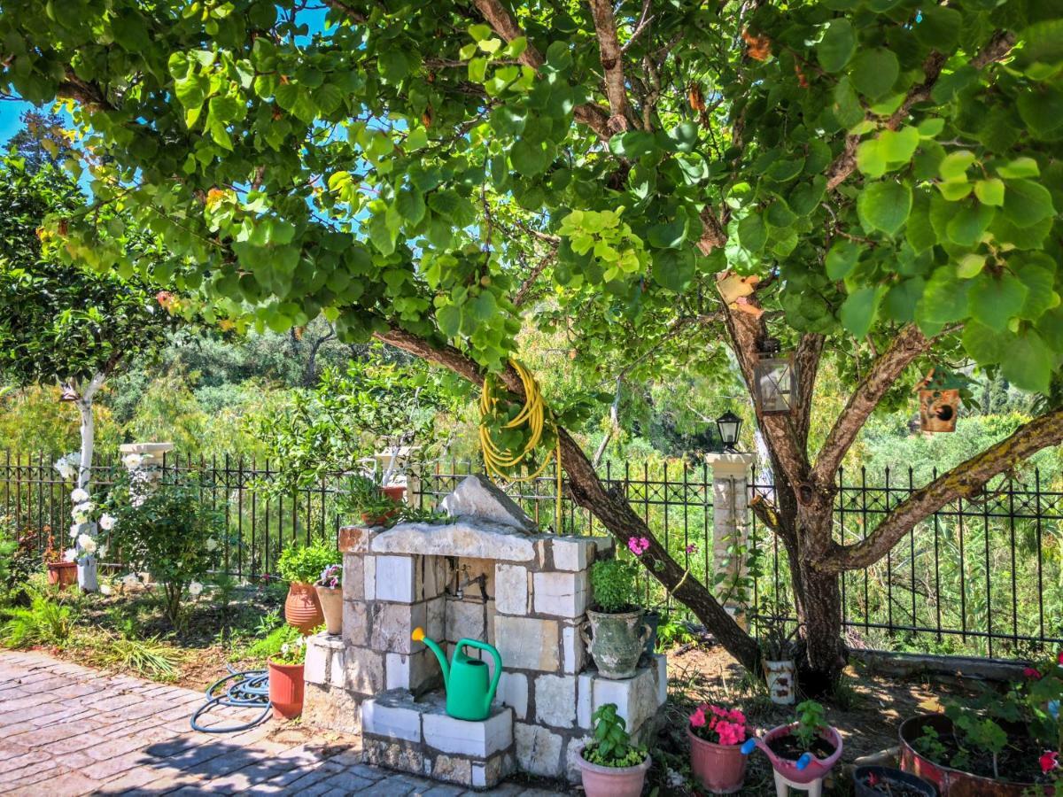 Hidden Gem In Nature Reserve Near The Beach - Corfu South Kritika  Exteriör bild