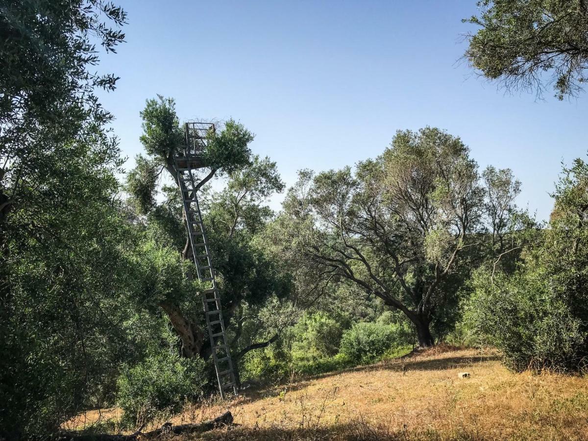 Hidden Gem In Nature Reserve Near The Beach - Corfu South Kritika  Exteriör bild